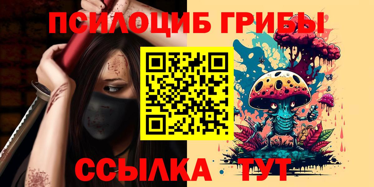 Псилоцибиновые грибы Psilocybine cubensis  Вход с VPN  Сергиев Посад 